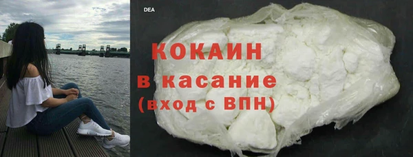сатива Янаул