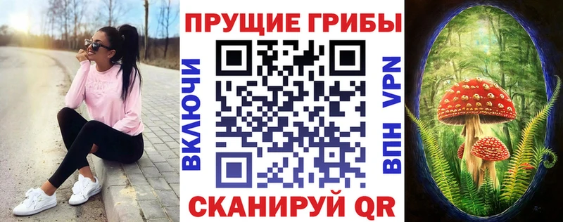 Псилоцибиновые грибы мицелий  Черняховск 