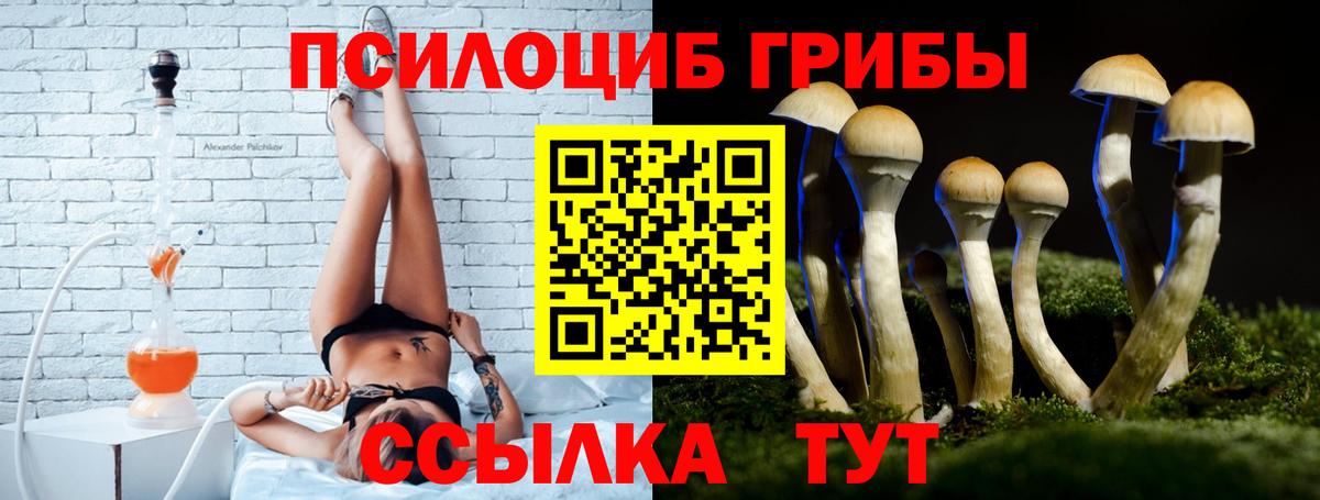 Псилоцибиновые грибы прущие грибы Черняховск