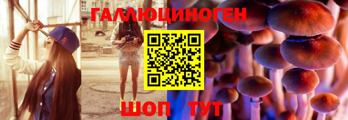 Галлюциногенные грибы мухоморы  Вход с VPN  Черняховск 